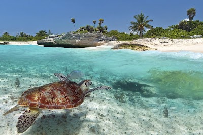 Akumal