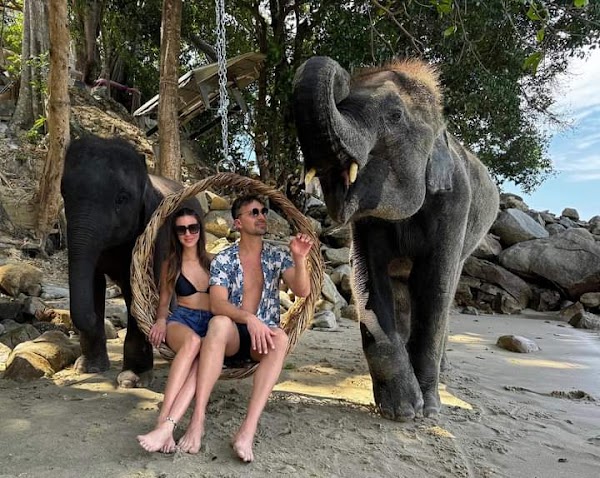 Phuket Reels 1