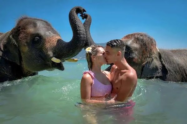 Elephant Swims @Lucky Beach, Tri Trang 5
