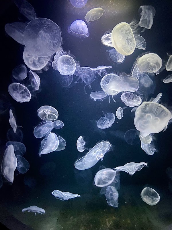 Aquarium de Paris 4