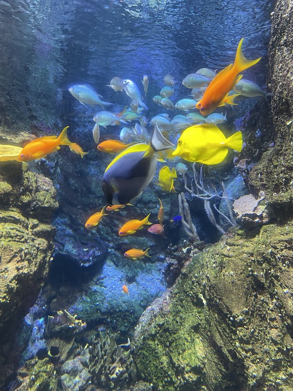 Aquarium de Paris 3