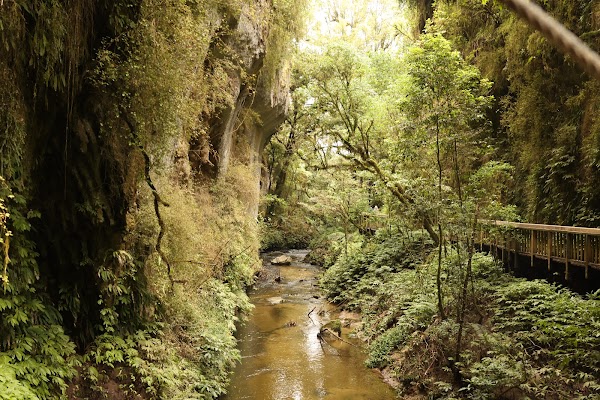 Mangapohue Natural Bridge 3