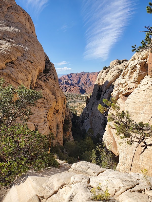 Snow Canyon State Park 3