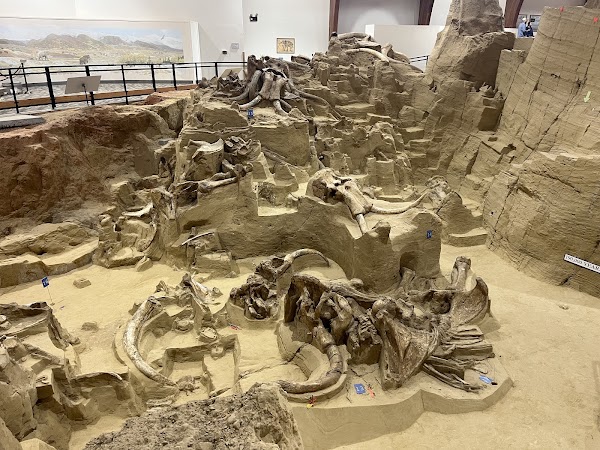 The Mammoth Site 1