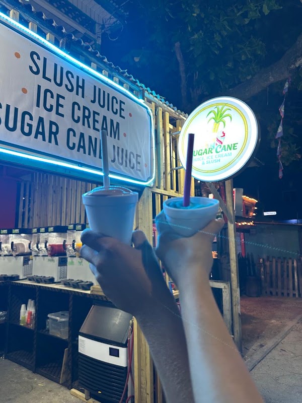 Sugar Cane 3