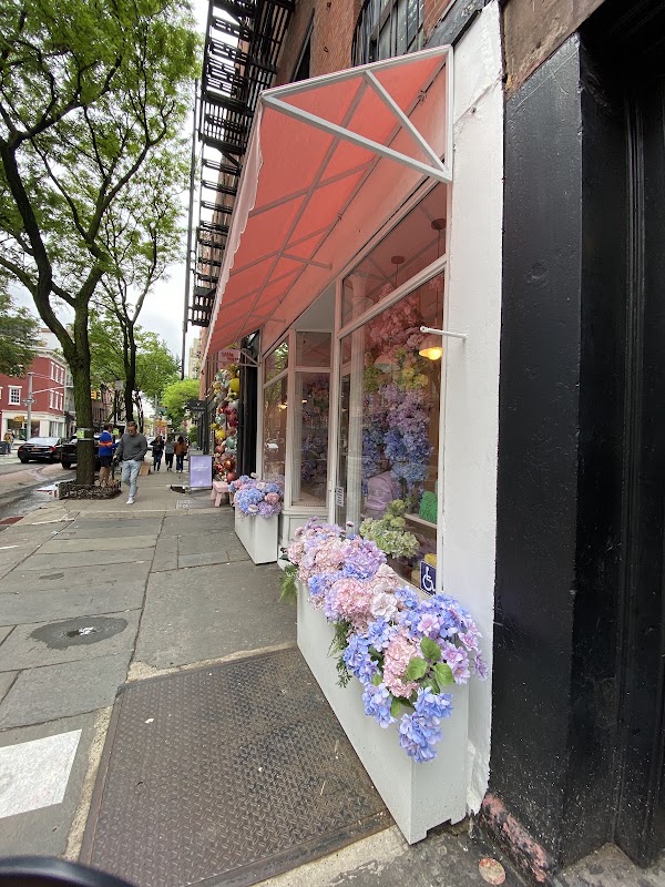 Stoney Clover Lane