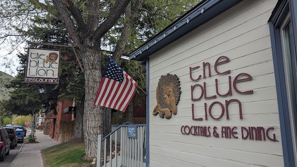 The Blue Lion 1