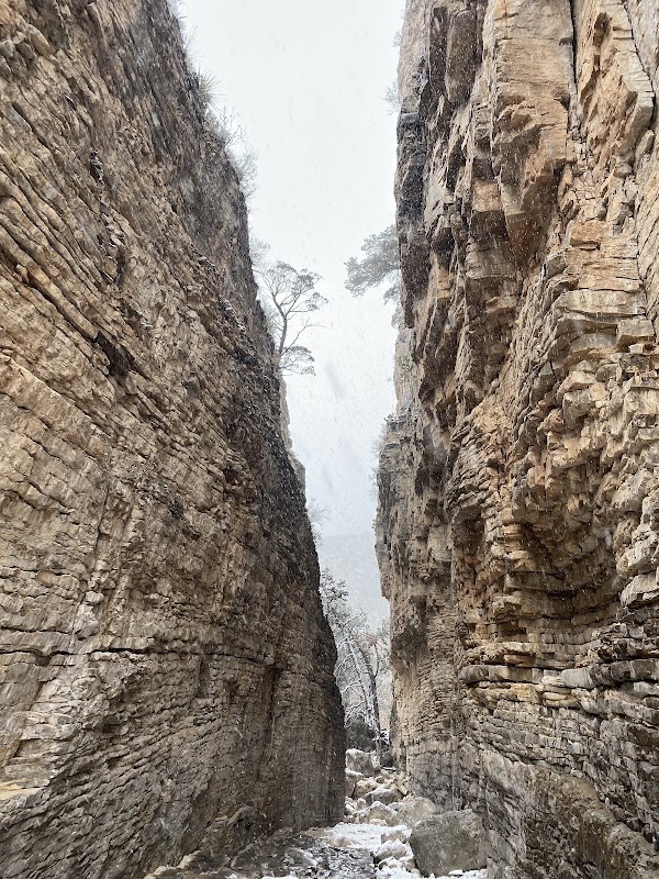 Devil's Hall Trail