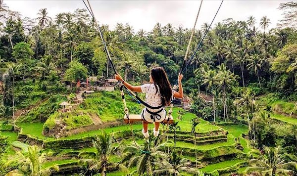 Real Bali Swing 3