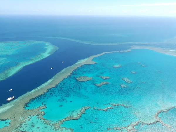 Hardy Reef