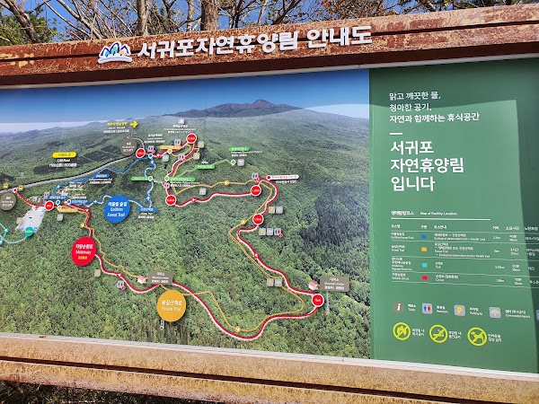 Seogwipo Natural Recreational Forest 5
