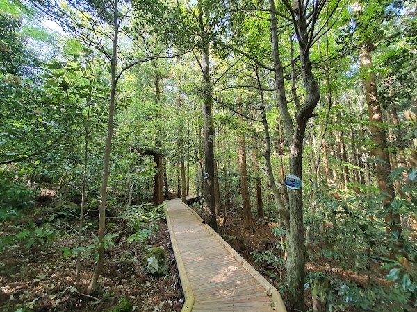 Seogwipo Natural Recreational Forest 4