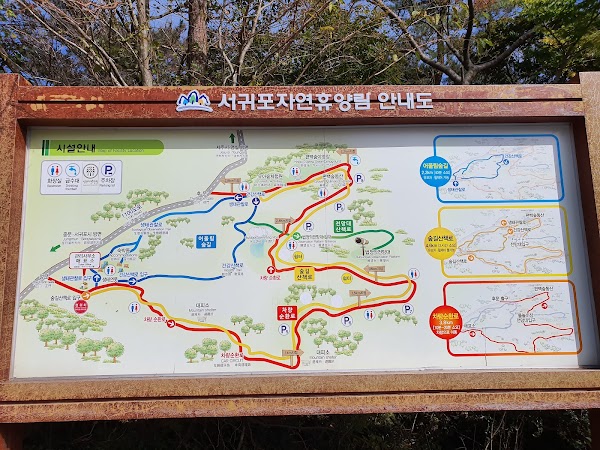 Seogwipo Natural Recreational Forest 3