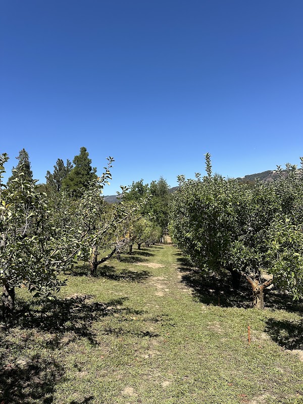 Apple Lane Orchard 1
