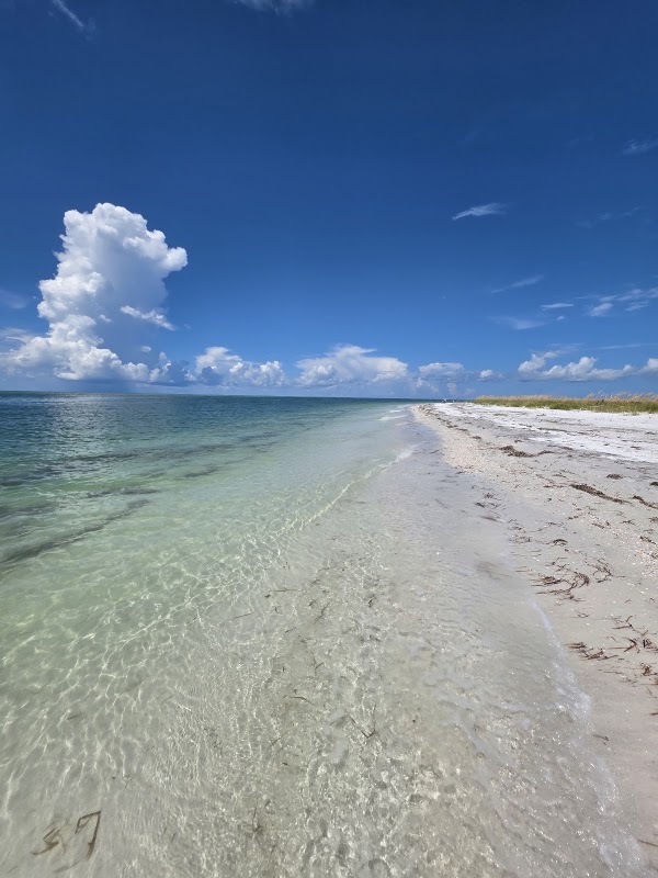 Shell Key Preserve