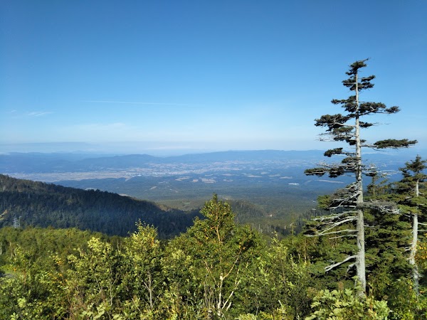Kamifurano 5