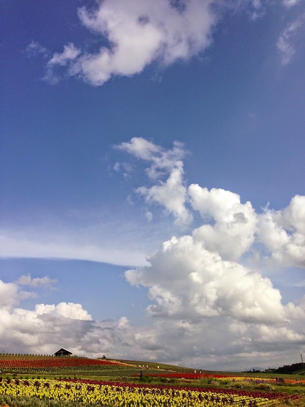 Kamifurano 2
