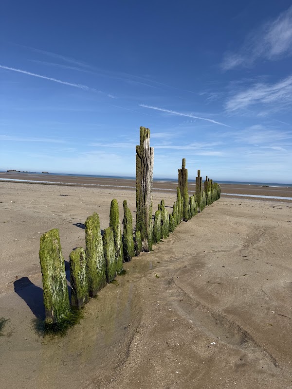 D-day "Gold Beach" 1