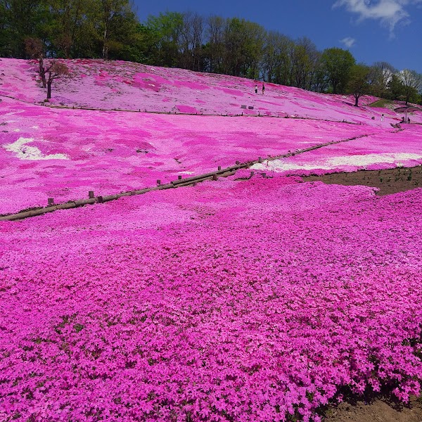 Taiyo-no-Oka Engaru Park