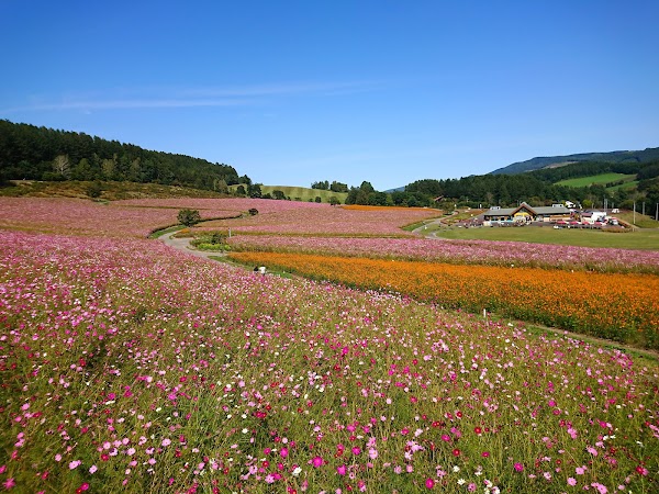 Taiyo-no-Oka Engaru Park 5