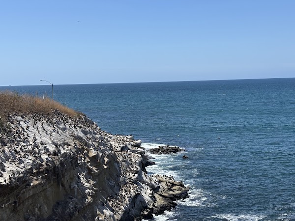 Coast Walk Trail 2