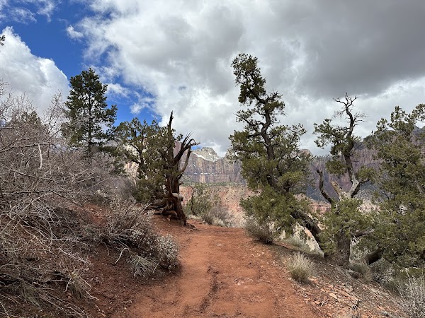 The Watchman 5