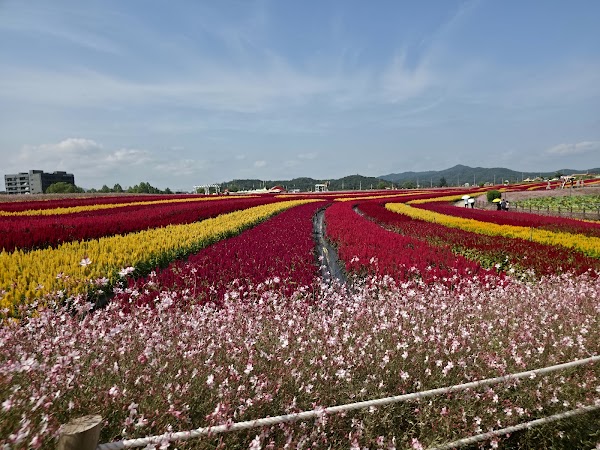 Goseokjeong Flower Garden