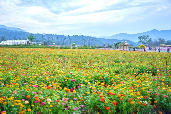 Goseokjeong Flower Garden 5