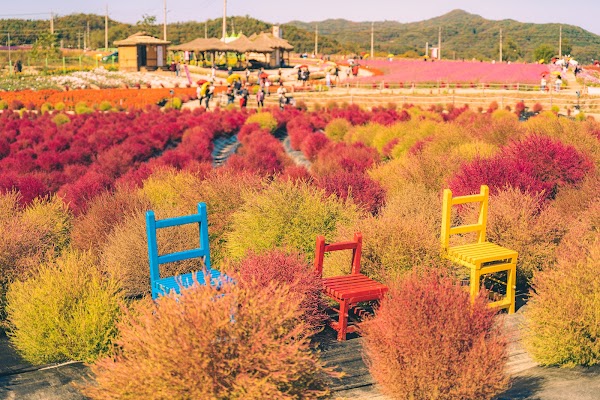 Goseokjeong Flower Garden 3