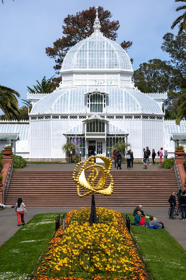Conservatory of Flowers 4
