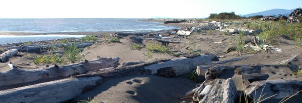 Iona Beach Regional Park