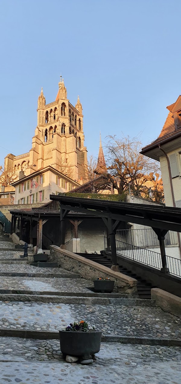 Lausanne 3