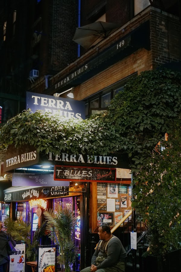 Terra Blues