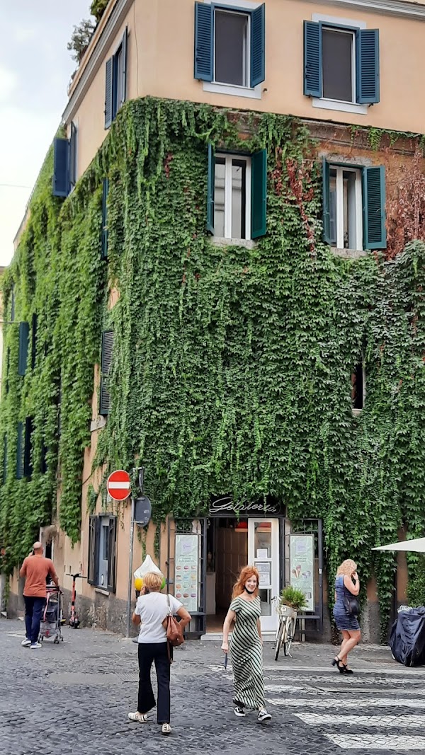 Monti 3