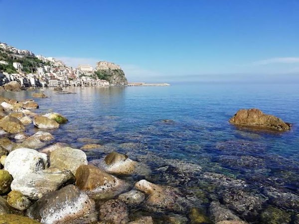 Scilla 3