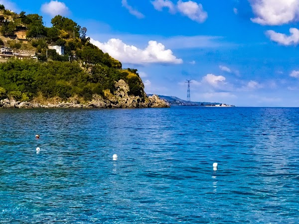 Scilla 2