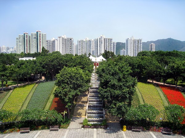 Tai Po Waterfront Park 5