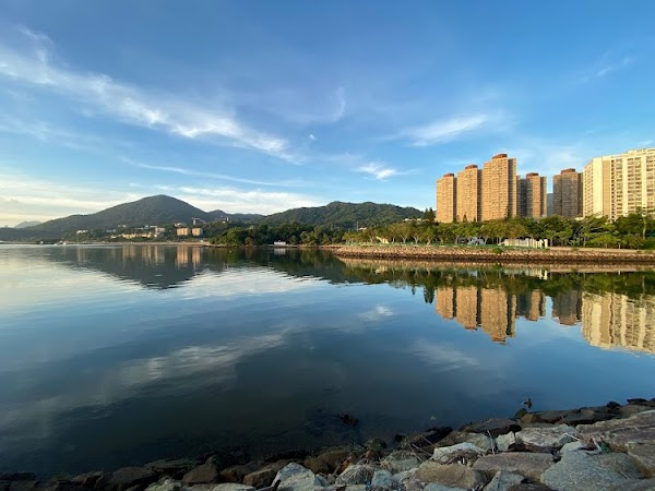 Tai Po Waterfront Park 4