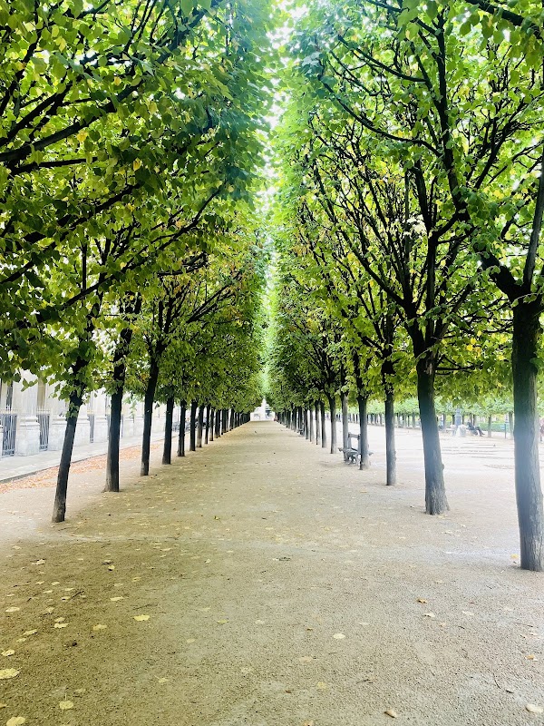 Palais-Royal Garden 6