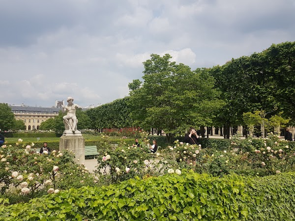 Palais-Royal Garden 5