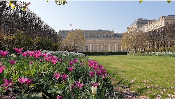 Palais-Royal Garden 4