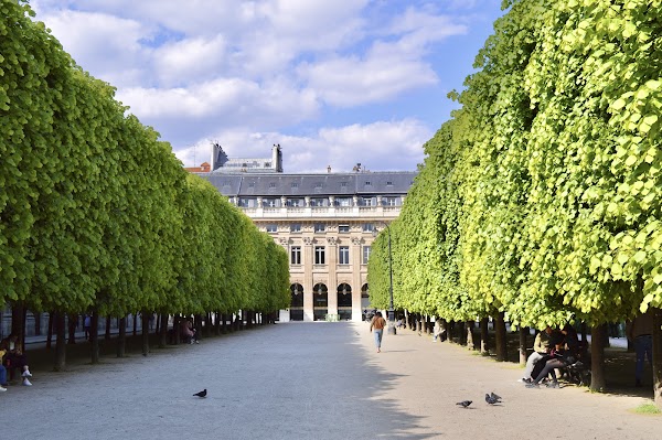 Palais-Royal Garden 3