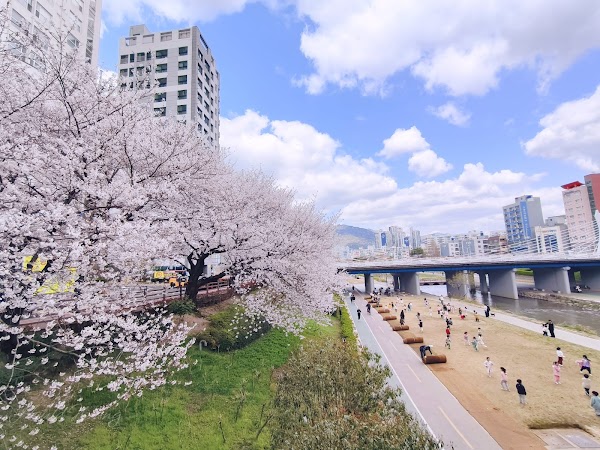 Oncheoncheon Citizens Park 5