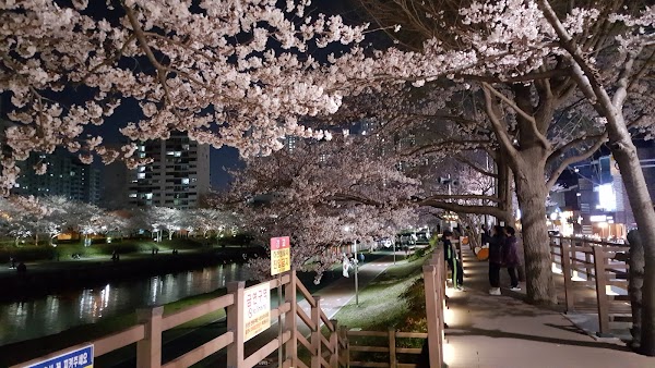 Oncheoncheon Citizens Park 4