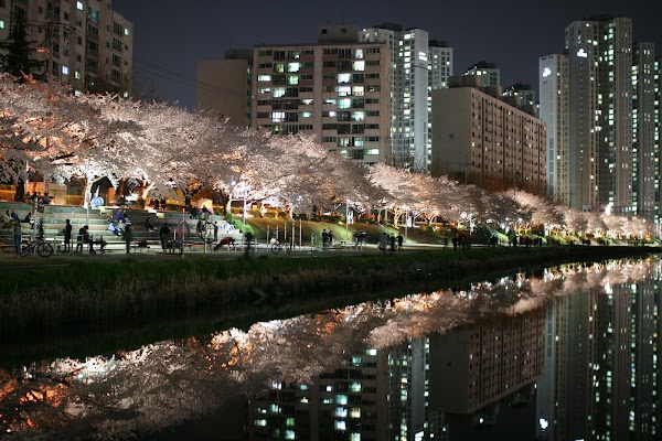 Oncheoncheon Citizens Park 3