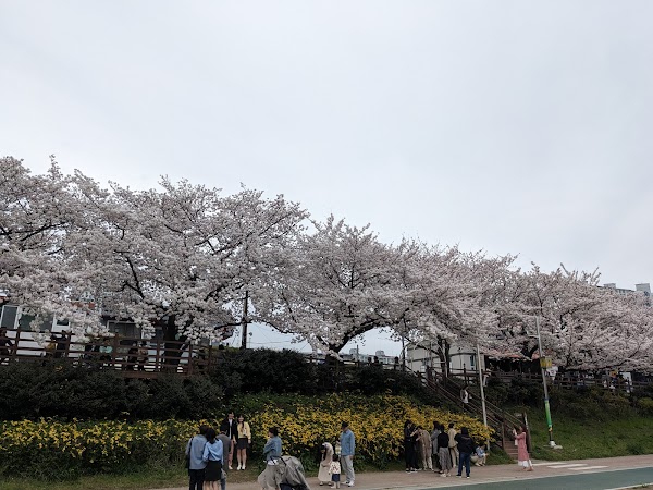 Oncheoncheon Citizens Park 2