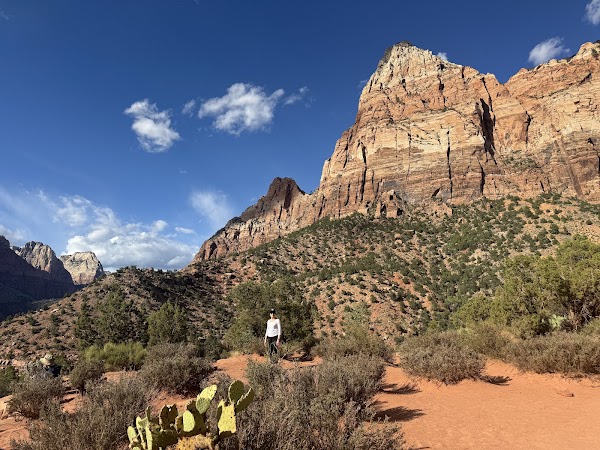 Watchman Trail
