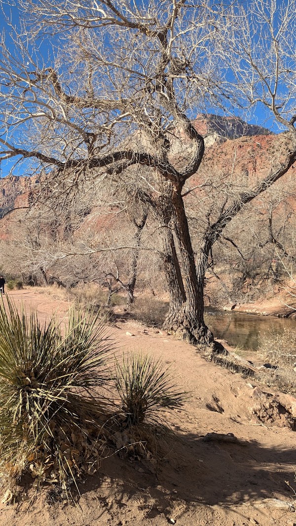 Watchman Trail 4