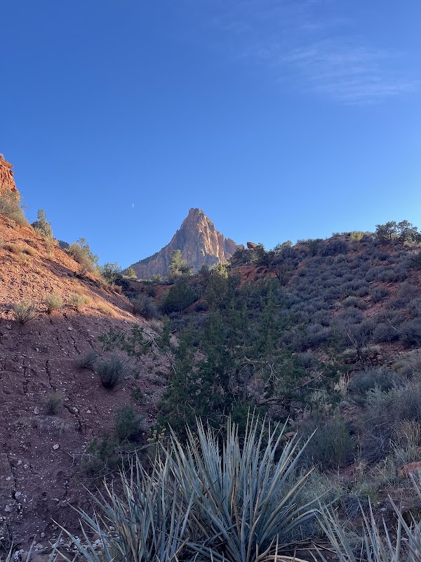 Watchman Trail 2