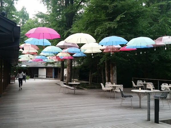 Sekireibashi Kawakamian